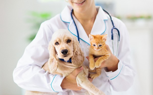 Farmina Pet Foods - For Professional Veterinarians